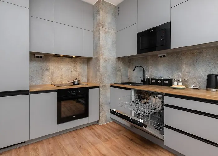 公寓 Nowa Letnica With Sauna & Gym & Kids Play In By Renters 格但斯克
